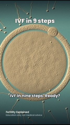 Short thumbnail: IVF in 9 steps